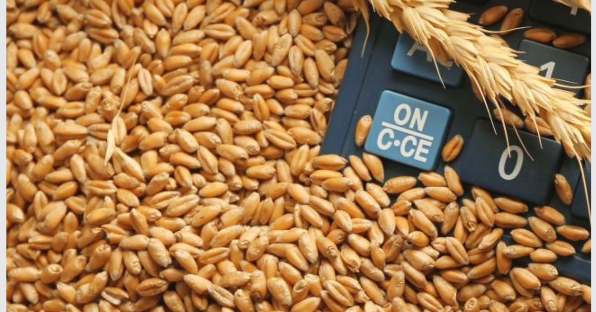 Centre releases 50 LMT wheat under Open Market Sale Scheme so far
